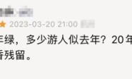 这部国产剧是颜值天花板 20年后依然吊打内娱