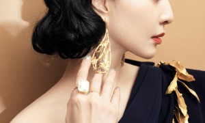 范冰冰“大杀”奥斯卡 4套造型出彩又美艳