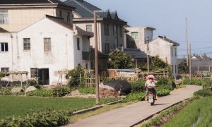 双节县域游预订热度月环比超60%，县域租车提前订增近80%